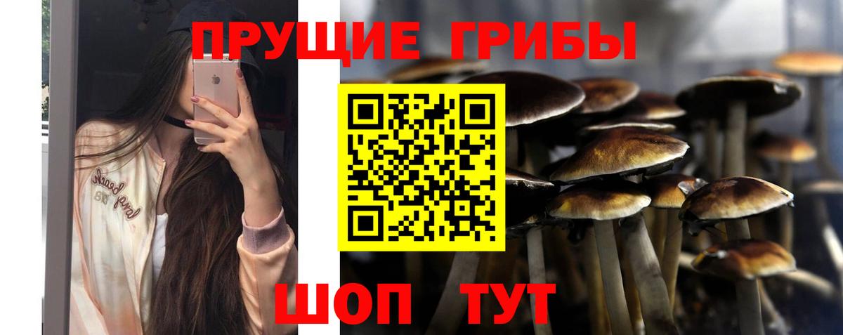 магазин продажи   Вход с VPN  Тобольск  Галлюциногенные грибы мухоморы 